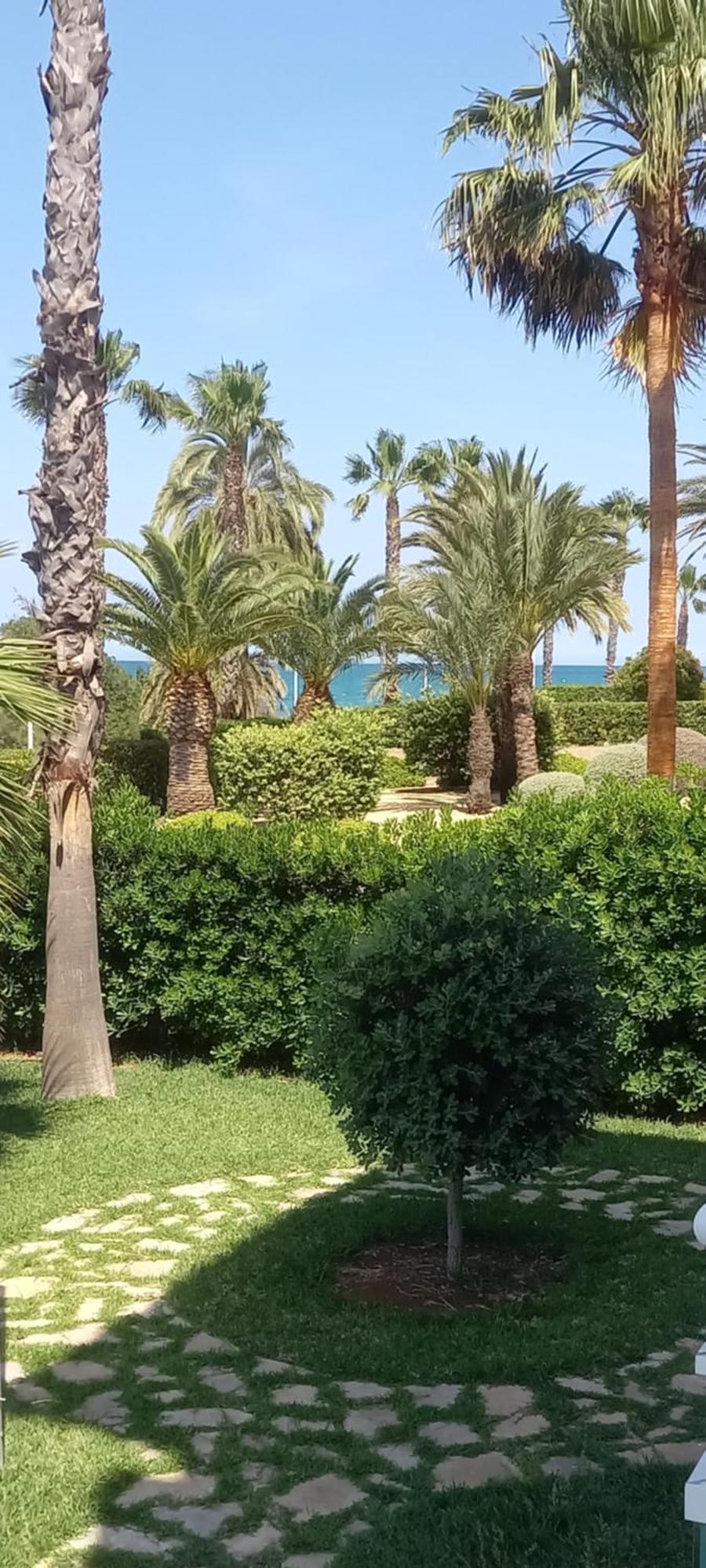 Beach View - Primera Linea Lujo Dénia Esterno foto